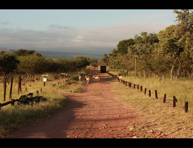 M² FARM FOR SALE IN MOOKGOPONG RURAL